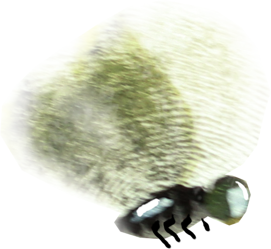 After The Initial Rough Page Layouts Were Done, I Had - Macro Photography (529x487), Png Download