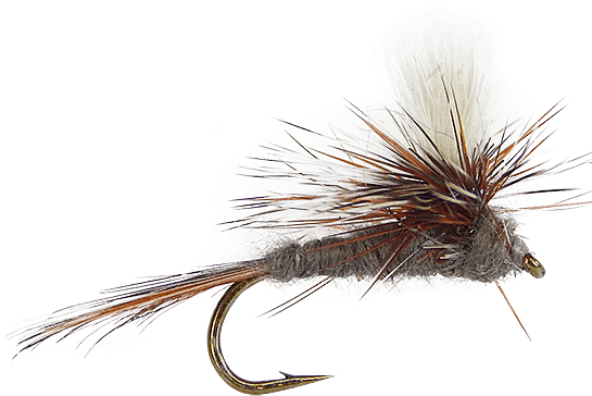 Dry Flies And Premium Dry Flies - Adams (555x741), Png Download
