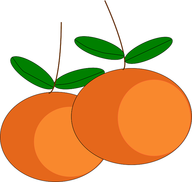 Oranges, Fruits, Citrus, Ripe, Juicy, Vitamins, Sweet - Gambar Vektor Buah Buahan (640x609), Png Download