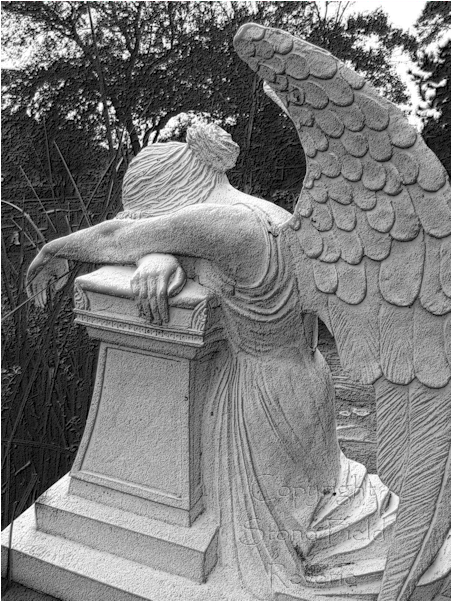 Glenwood Cemetery Weeping Angel - Stone Field Reverie (600x600), Png Download