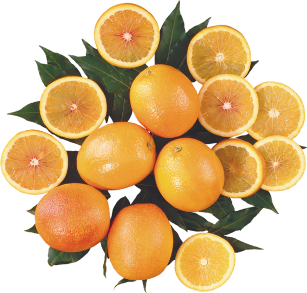 Oranges Png, Fruits, Agrumes - Orange (600x573), Png Download