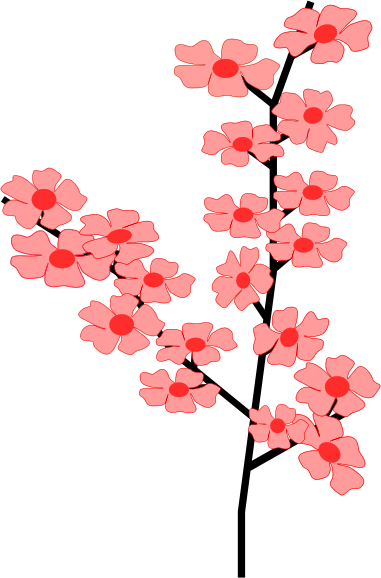 Cherry Blossom Clipart Transparent - Cherry Blossom Flowers Clip Art (381x578), Png Download