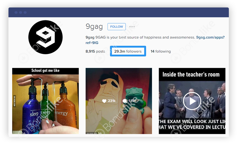 Get Free Instagram Followers - Beer Bottle (782x485), Png Download