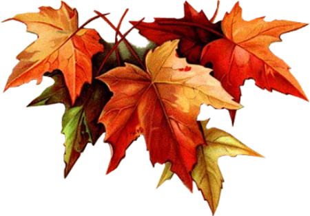 Tumblr Marxxfg9ib1rh3bmco1 500 - 21 Days Of Fasting & Prayer: Words (450x314), Png Download