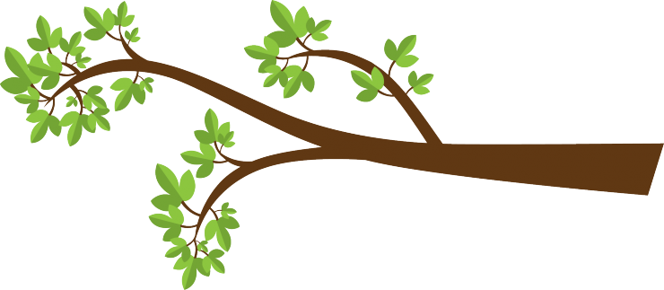 Leaves - Branch Clipart (740x323), Png Download