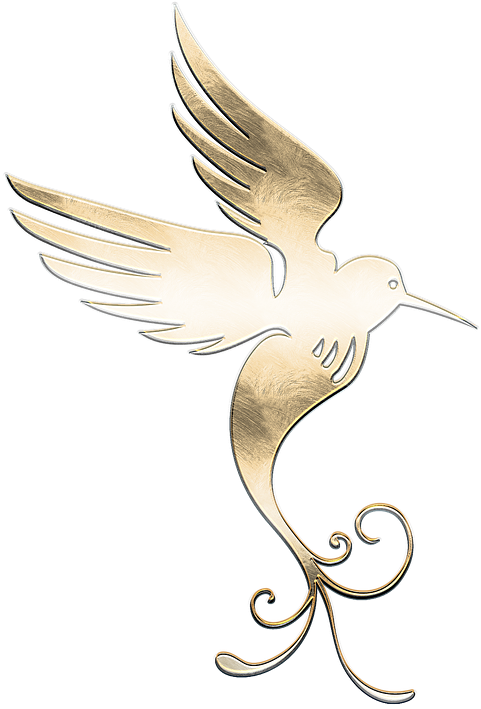 Stock.xchng (492x640), Png Download