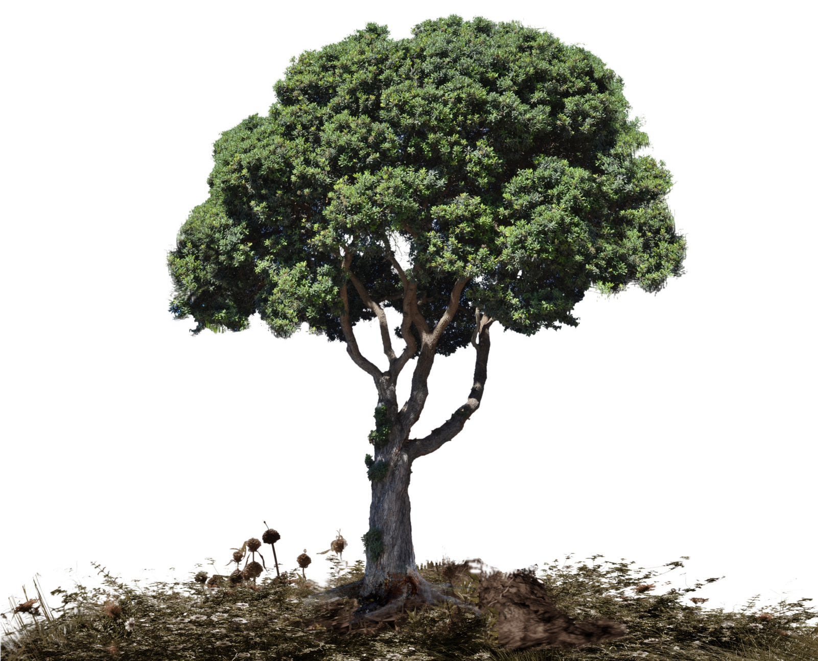 Landscape Png Picture - Png Landscape (1600x1828), Png Download