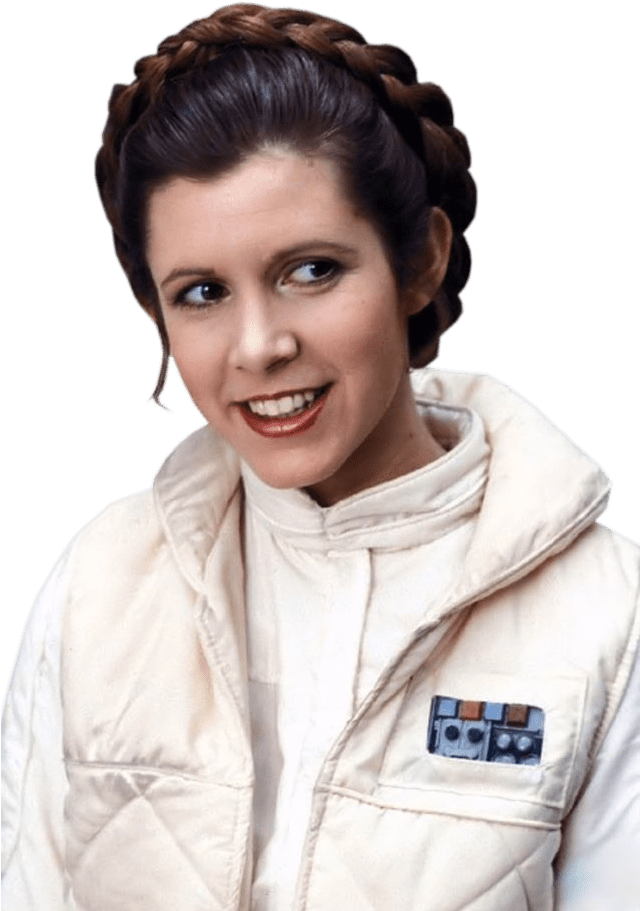 Get Hugh Jackman - Princess Leia Halo Braid (639x937), Png Download