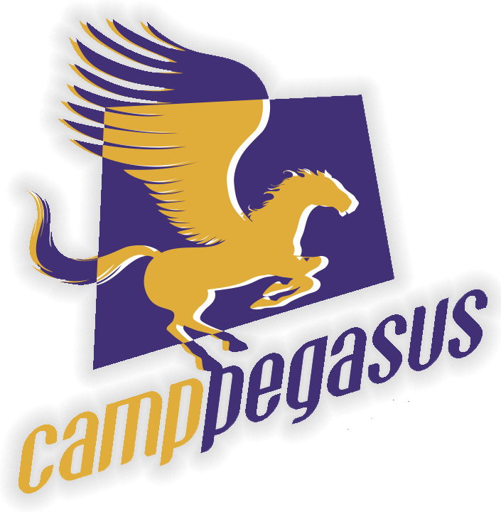 Pegasus - Pegasus School (705x720), Png Download