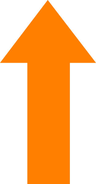 Orange Arrow Png - Orange Arrow Clip Art (312x599), Png Download