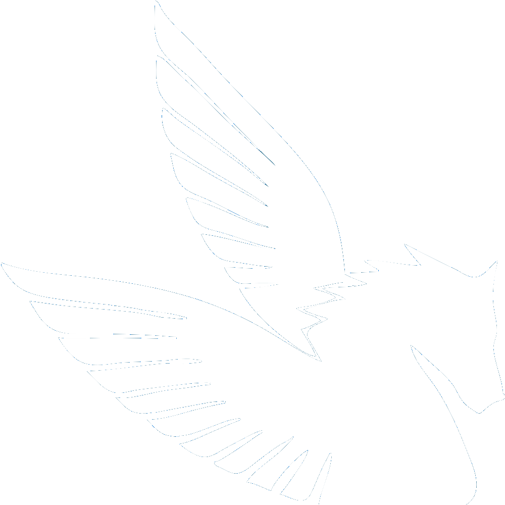 Pegasus Airport Limousine Company Logo - Pegasus Airport Taxi Service (1000x1000), Png Download