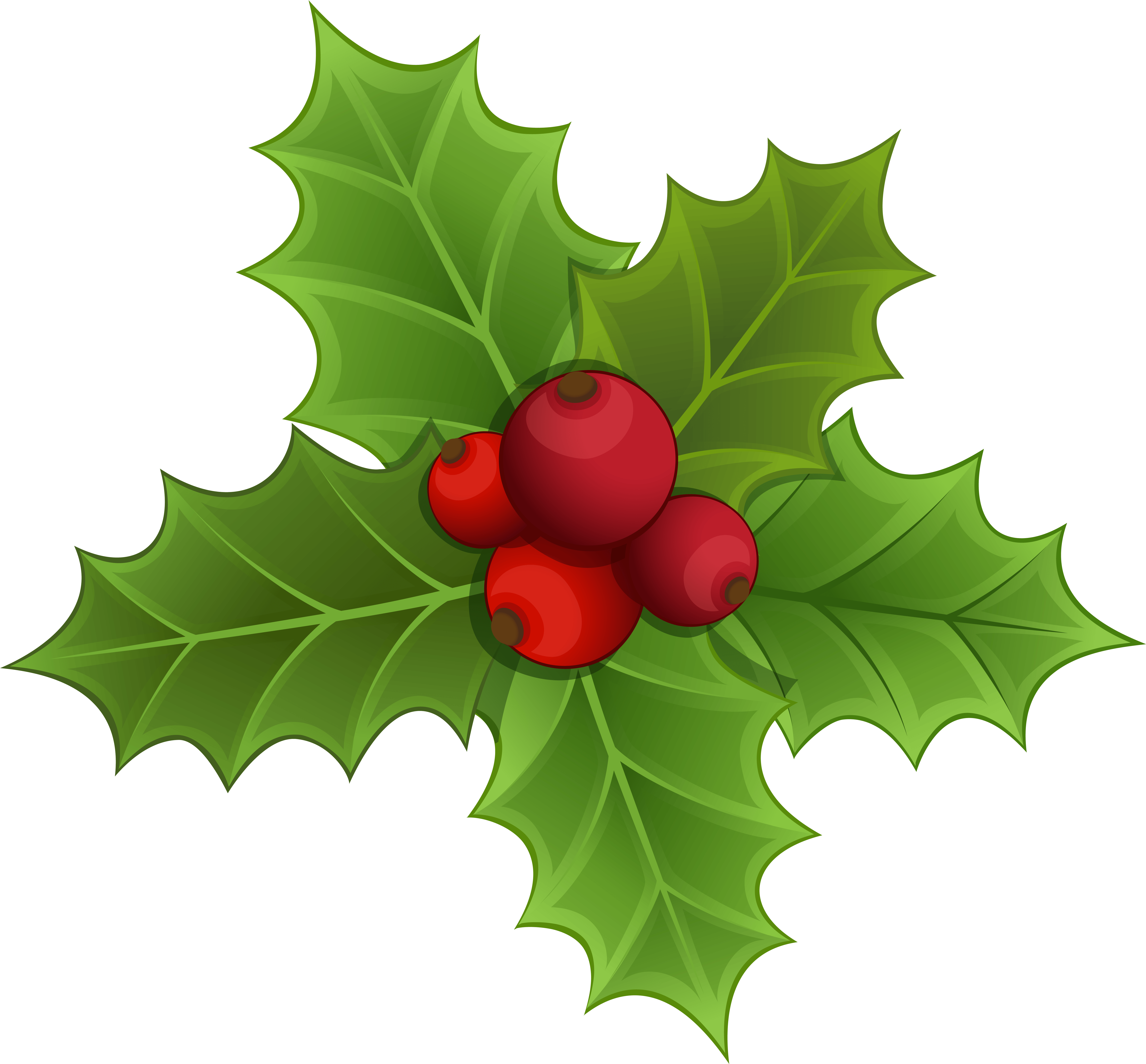 Mistletoe Png Clipart Image - صور رونالدو فى اليوفى (6185x5746), Png Download