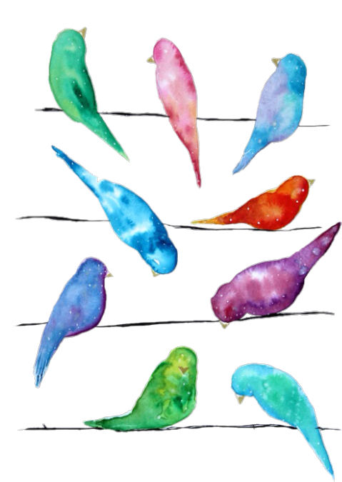 Report Abuse - Copyright Infringement (500x700), Png Download