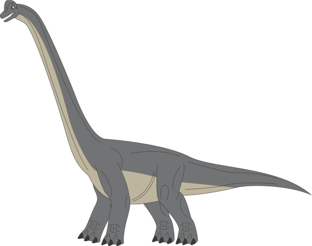 Brachiosaurus Png Transparent Picture - Prehistoric World Brachiosaurus (1006x794), Png Download