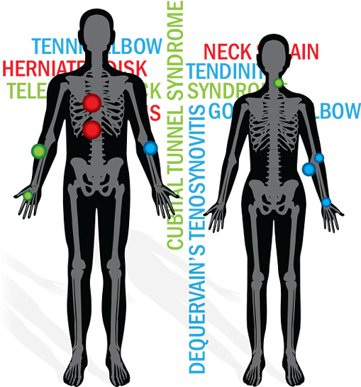 Spooky, Scary, Skeletons - Human Body (510x593), Png Download