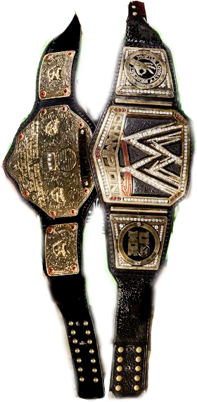 World Heavyweight Championship Png - Wwe World Heavyweight Championship Png (306x628), Png Download