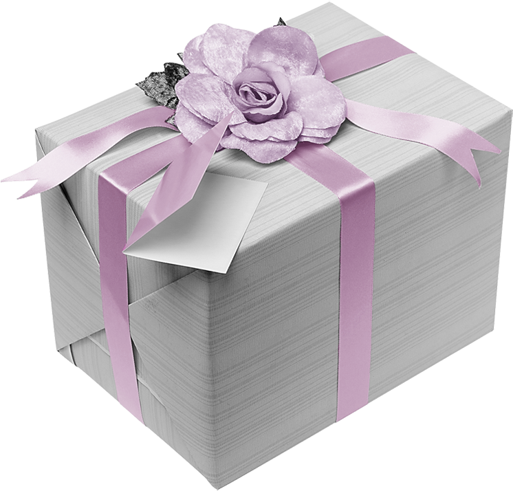 Silver Present With Pink Bow Clipart - Essential Guide To Wedding Etiquette [book] (750x722), Png Download