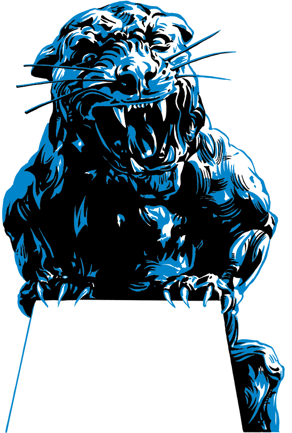 Carolina Panthers (600x894), Png Download
