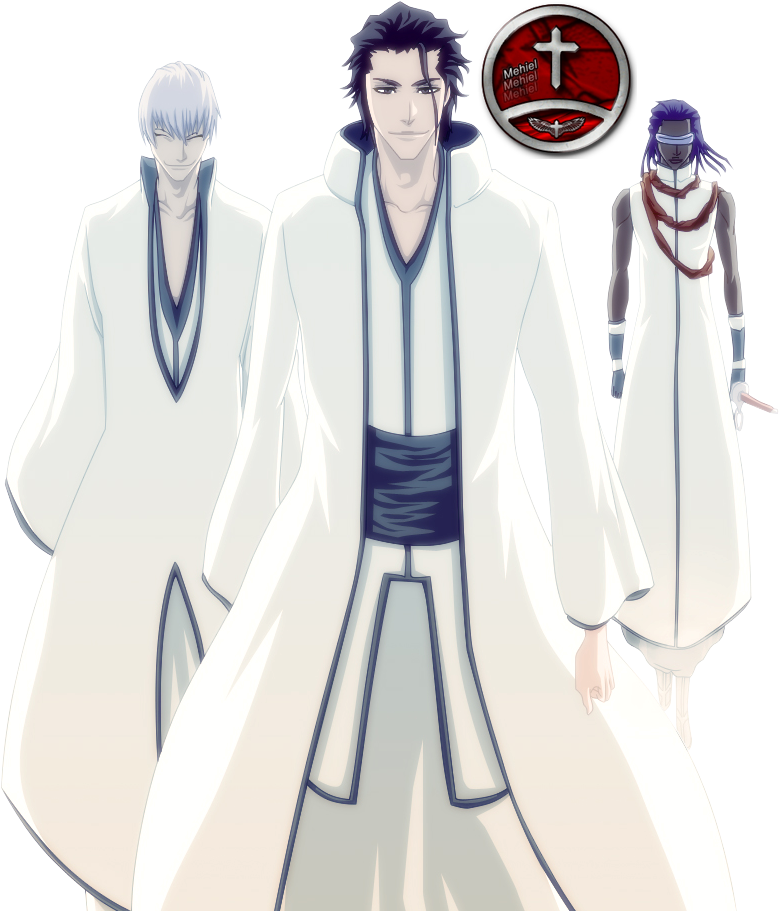 Aizen Yang Telah Mendapatkan Hougyoku Membangun Kekuatan - Aizen Gin And Tousen (800x915), Png Download