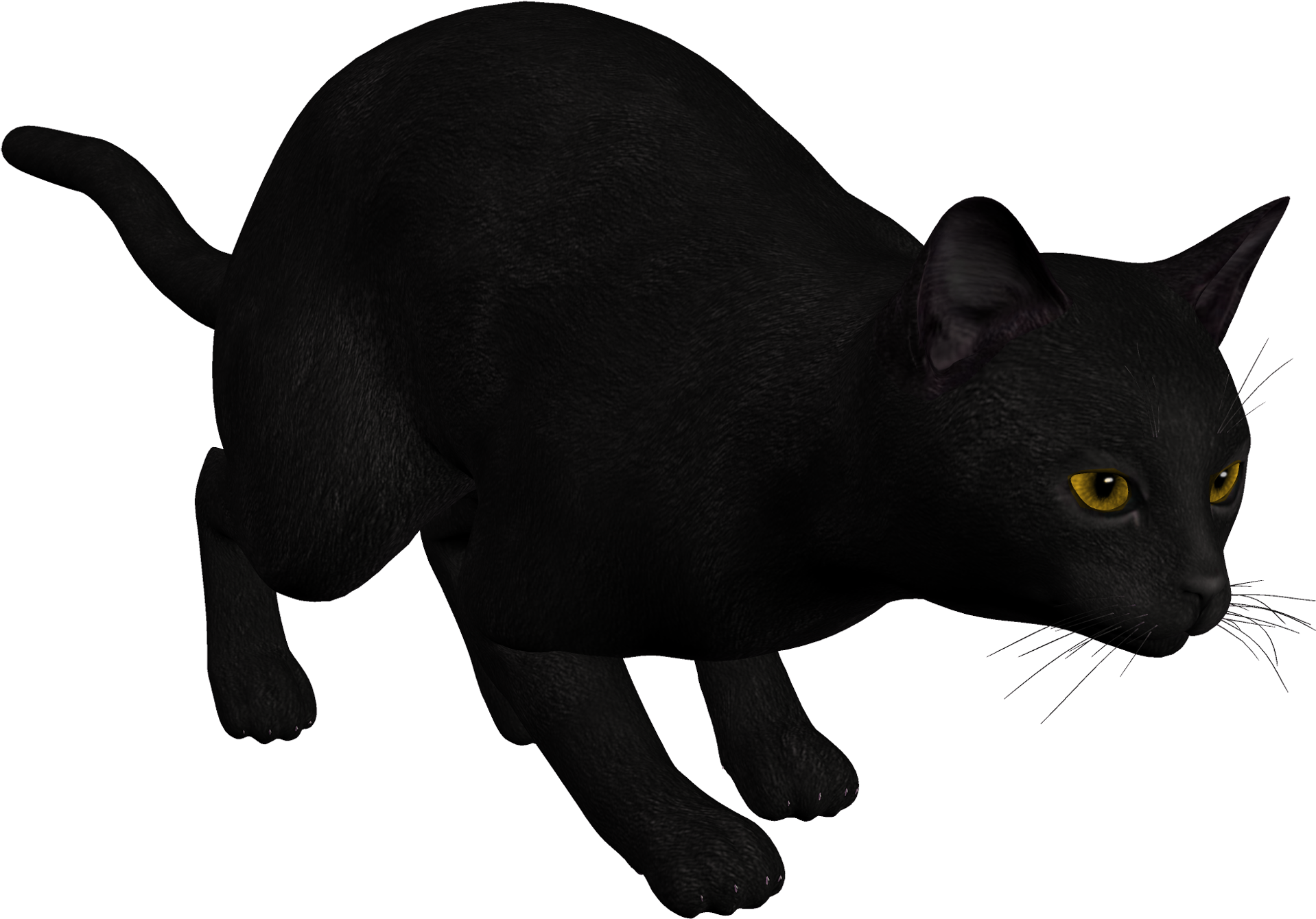 Cat Black Png Clipart - Cat Black Clipart (2000x1402), Png Download