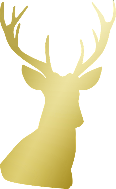 Download Hd Deer Antlers Gold Golden Foil Material Head Golden Deer Head Png Transparent Png Image Nicepng Com