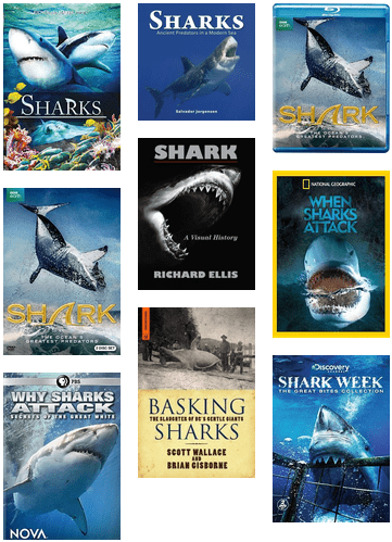 Cinema Libre Studios Sharks [dvd] Usa Import (436x544), Png Download