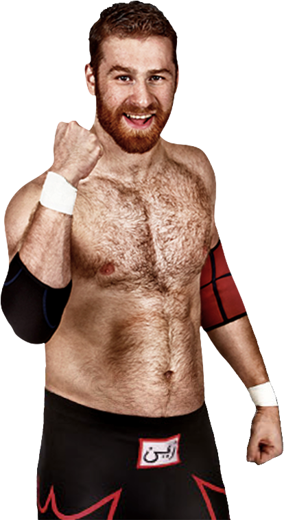Sami Zayn - Wwe Sami Zayn Png (414x758), Png Download