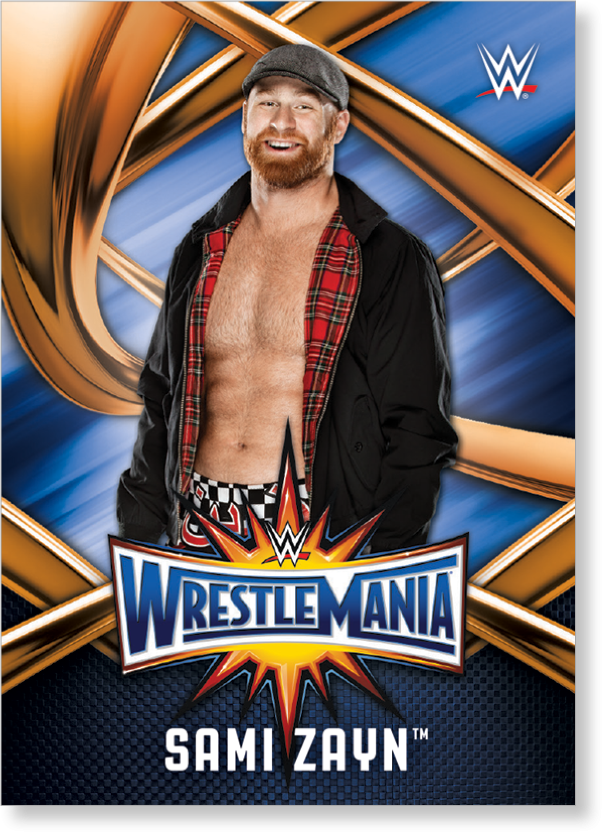 Sami Zayn 2017 Wwe Road To Wrestlemania Wrestlemania - Wwe Sami Zayn Hd New 2017 (2000x2000), Png Download