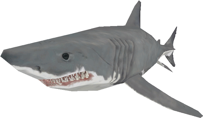Download Zip Archive - Tiger Shark (750x650), Png Download