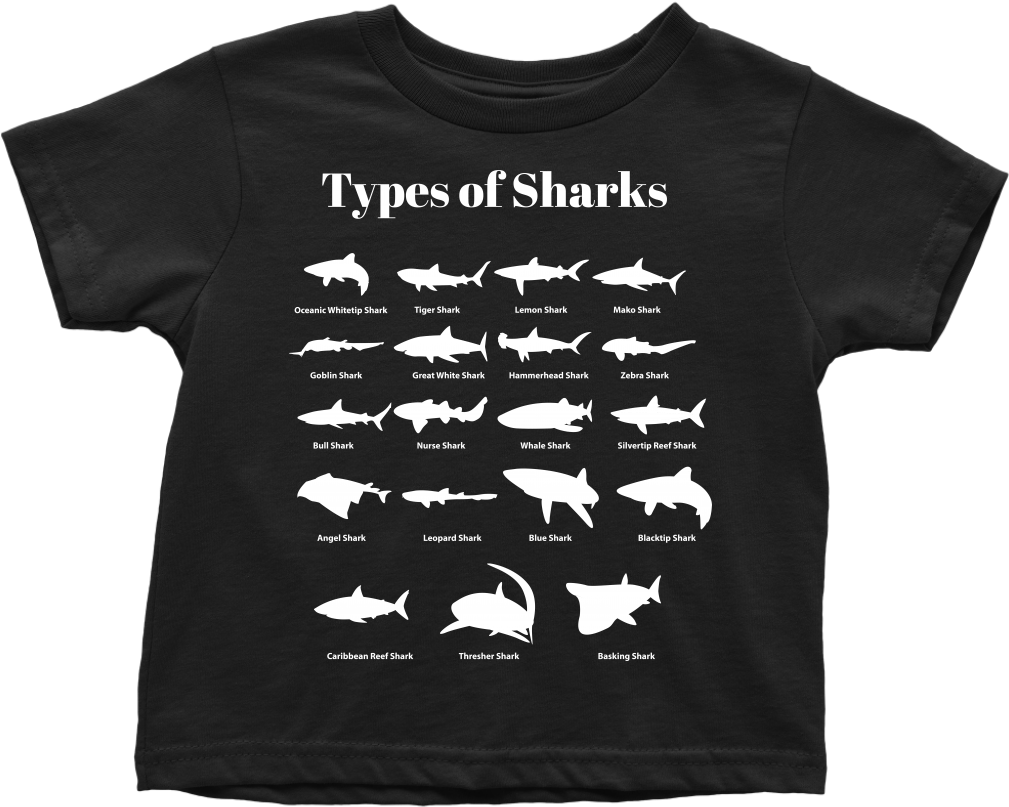 Types Of Sharks Toddler T-shirt - Types Of Sharks List (1024x1024), Png Download