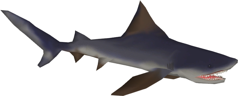 Borneo Shark - Wiki (904x904), Png Download