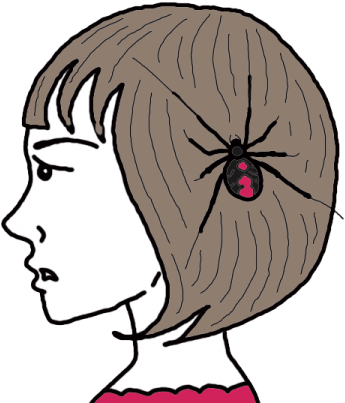Spider (450x450), Png Download