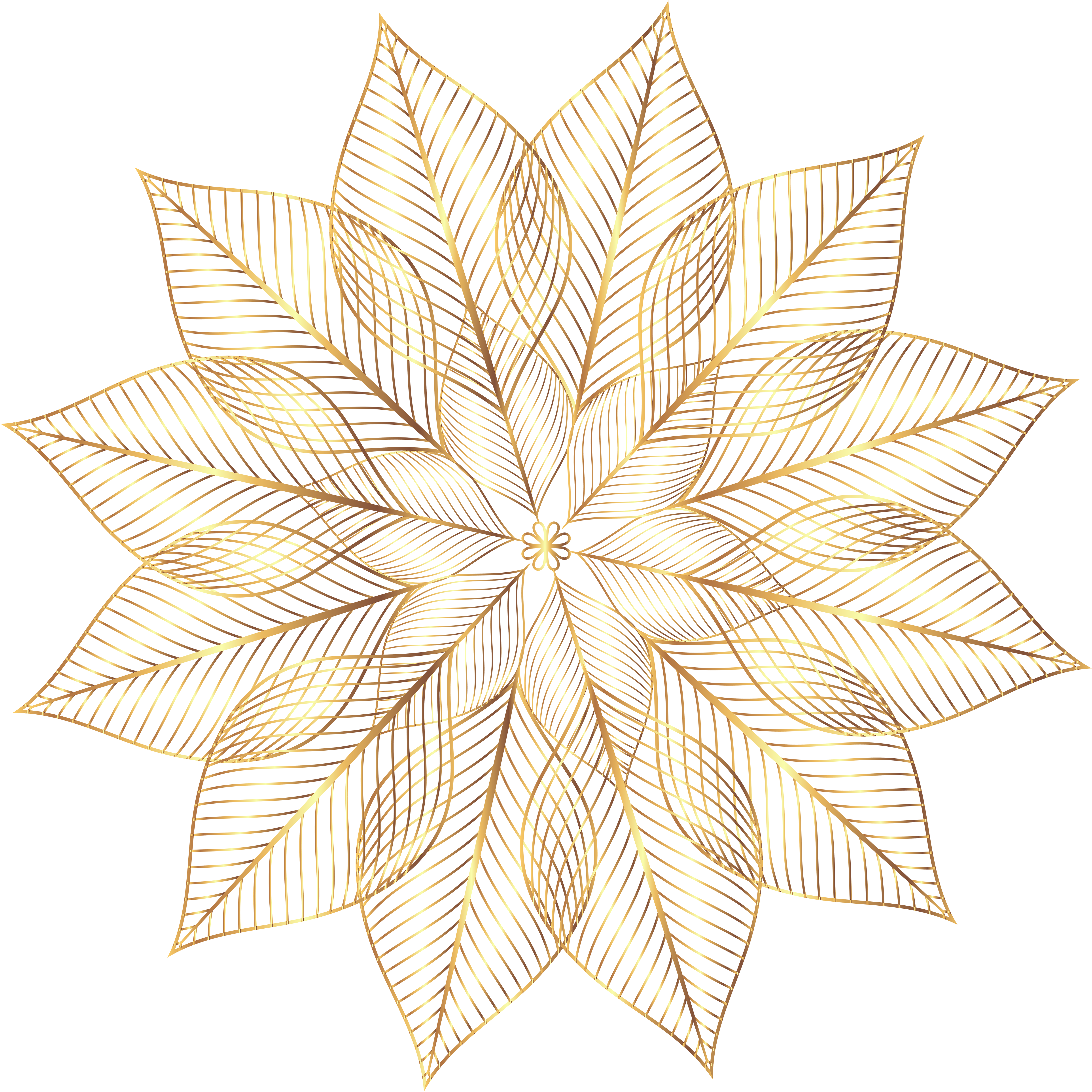 Gold Flower Png (5000x5000), Png Download