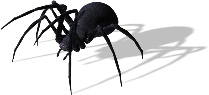 Publicat De Eu Ciresica La - Bug (750x432), Png Download
