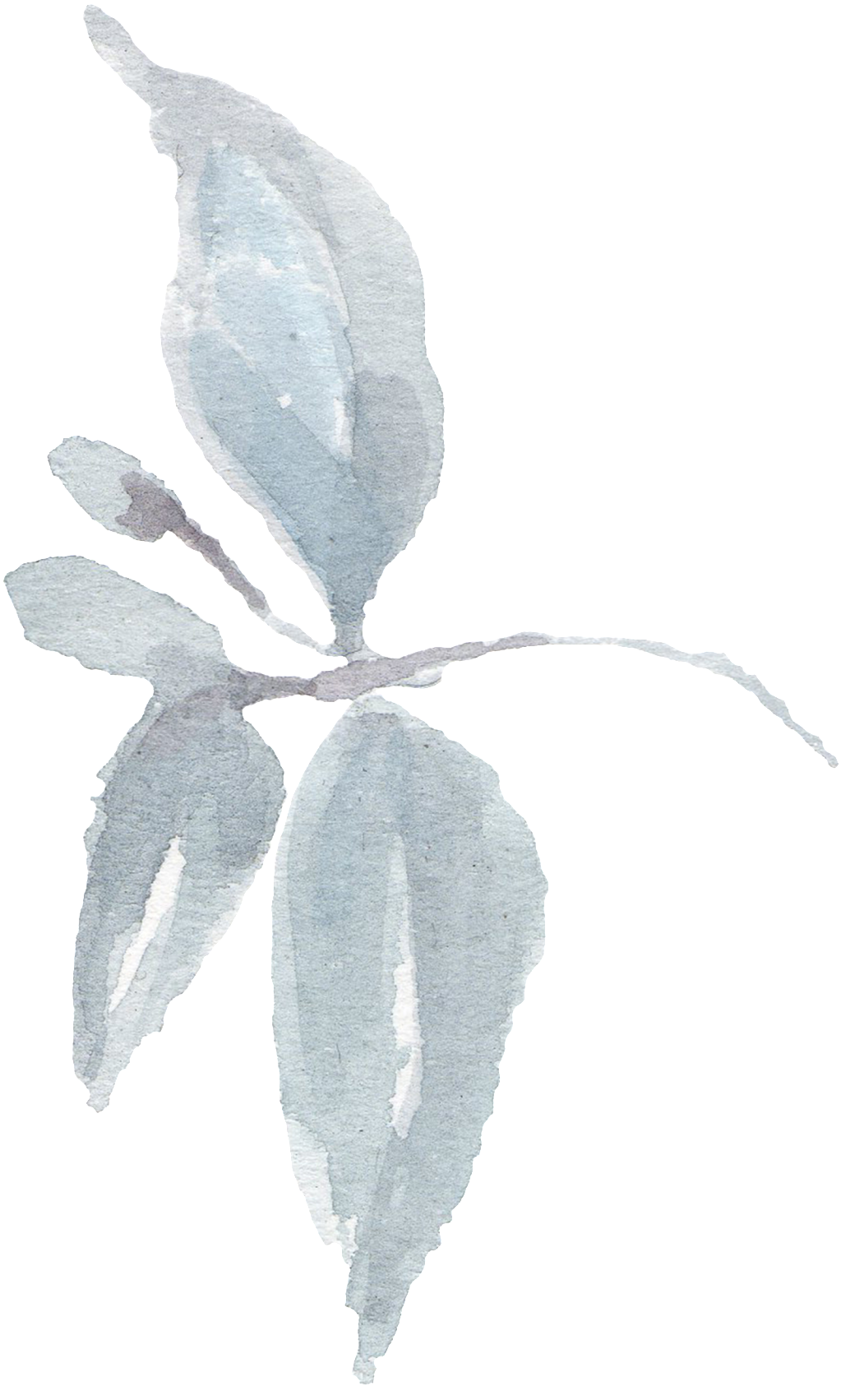 Hand-painted A Branch Of A Branch Watercolor Transparent - Watercolor Painting (1024x1740), Png Download