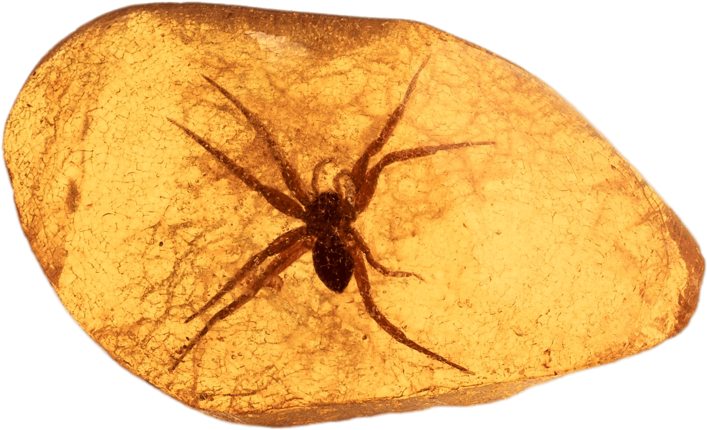 Download - Dominican Republic (1440x900), Png Download