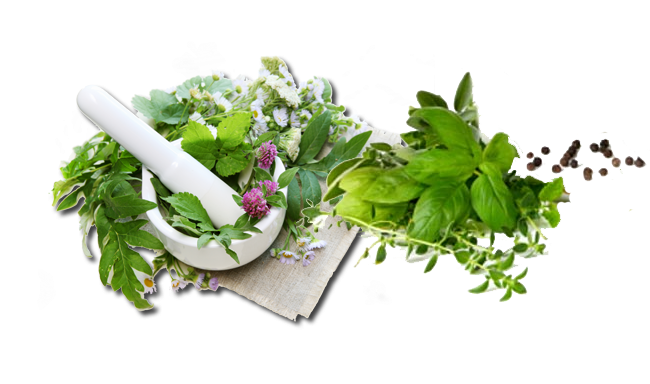 Making Herbal Remedies: Natural Health For The Whole (1000x400), Png Download