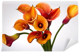 Painting (400x400), Png Download