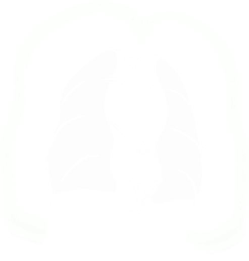 Mb Image/png - Paper Product (800x1064), Png Download