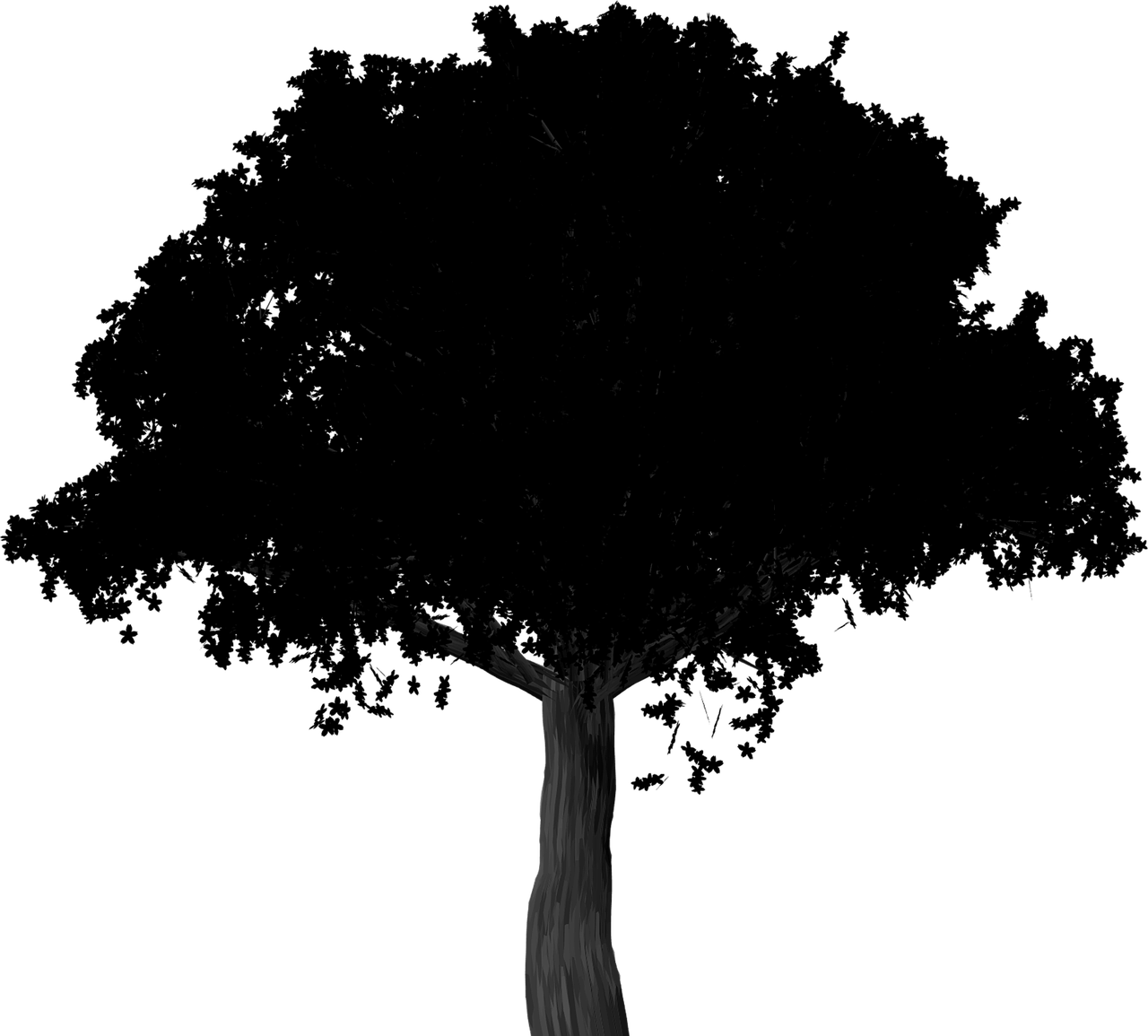 Silhouette,cherry Blossom,tree,cherry Blossom - Silhouette Of A Tree Png (1280x1155), Png Download