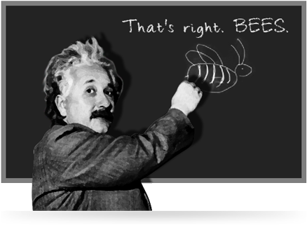 Albert Einstein's Theories (450x332), Png Download