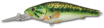 Koppers Livetarget Largemouth Bass Crankbait - Largemouth Bass Crankbait,natural/matte,6 - Ghilliesuitshop (360x368), Png Download