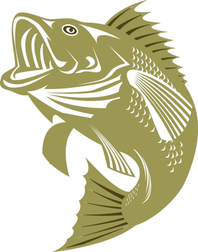 Bass Tournament - Cartoon Bass (400x510), Png Download