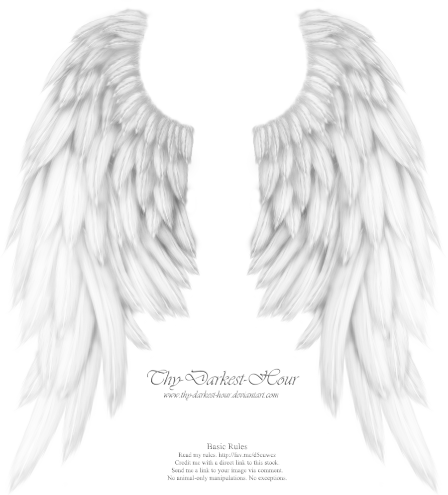 Download White Angel Wings Transparent Clipart Drawing - White Angel Wings Transparent (900x995), Png Download