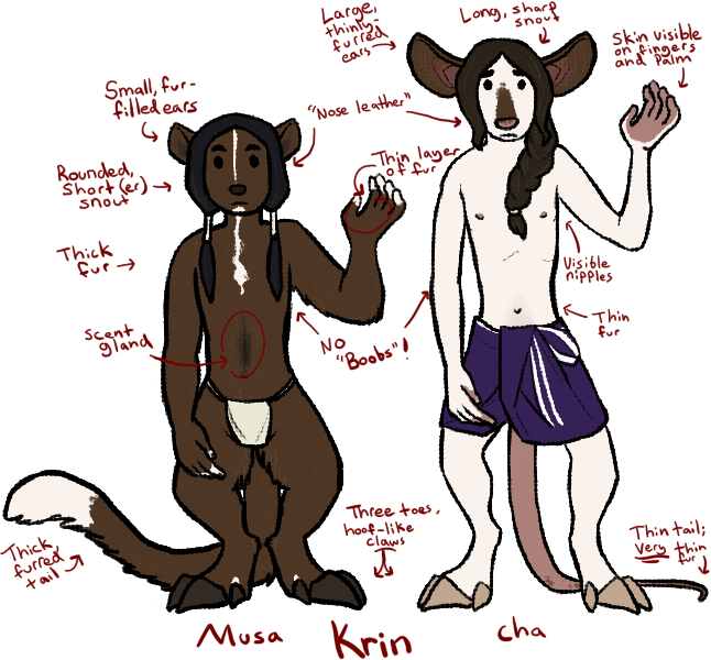 Krin Compare - Cartoon (646x600), Png Download