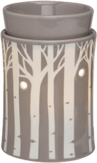 Warmer Unit - Transparent Scentsy Warmer (600x730), Png Download