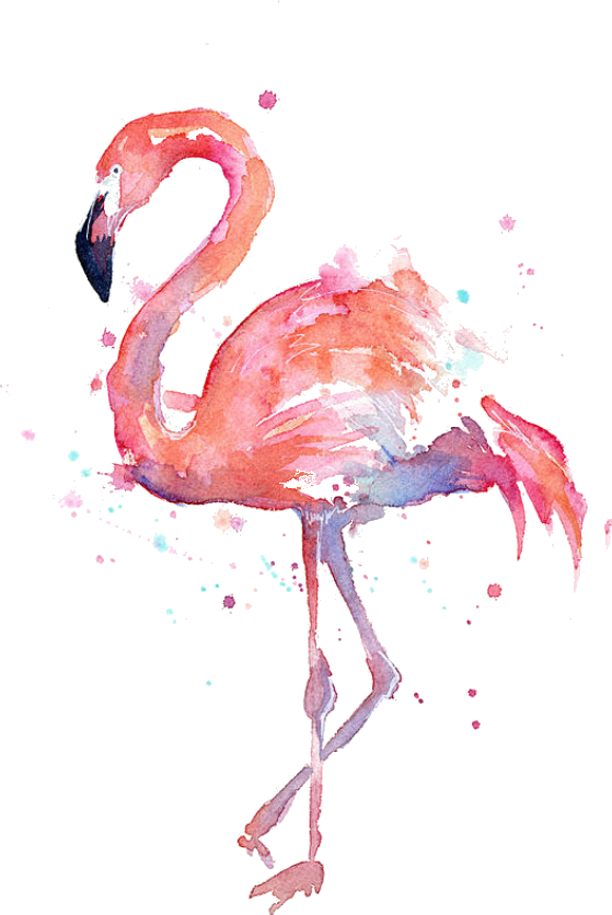 Download Flamingo Clipart Gold - Watercolor Flamingo - HD Transparent ...