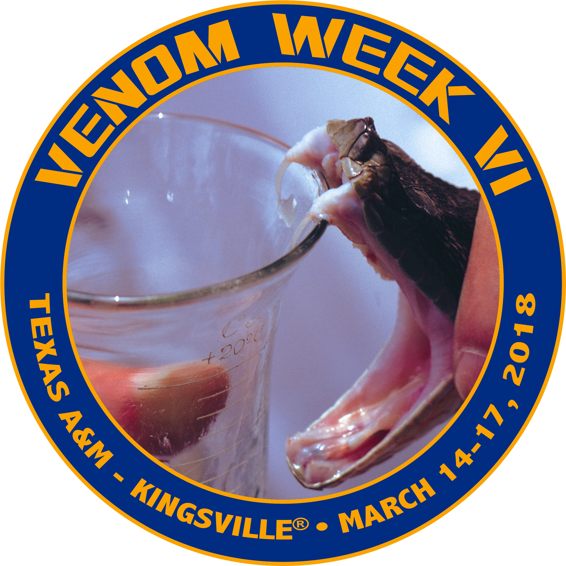 Venom Week Vi Logo - Healthwebce Mexico (3997x2665), Png Download