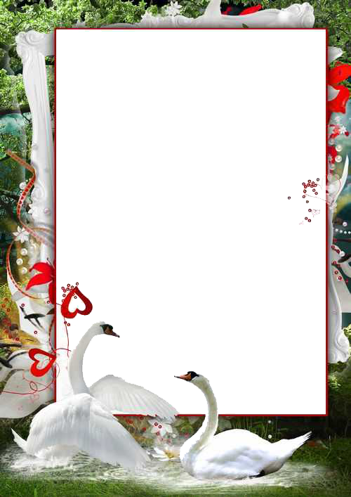Love Frame Png - Png Photo Frame Download (500x707), Png Download