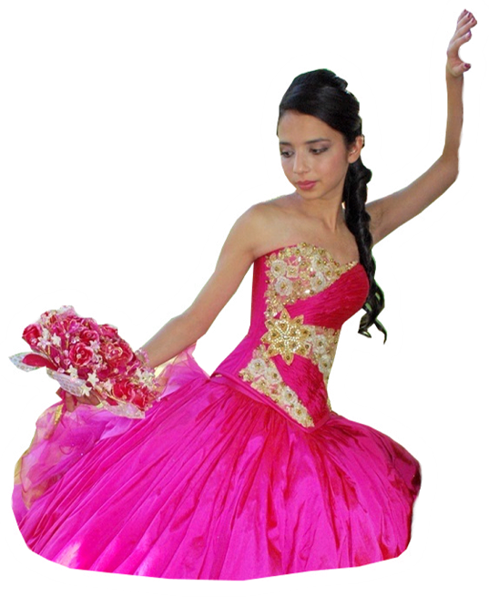 Soluciones Aqui Foto Y Video Digital Reno - Flamenco (537x655), Png Download